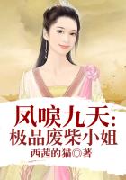 凤唳九天：极品废柴小姐